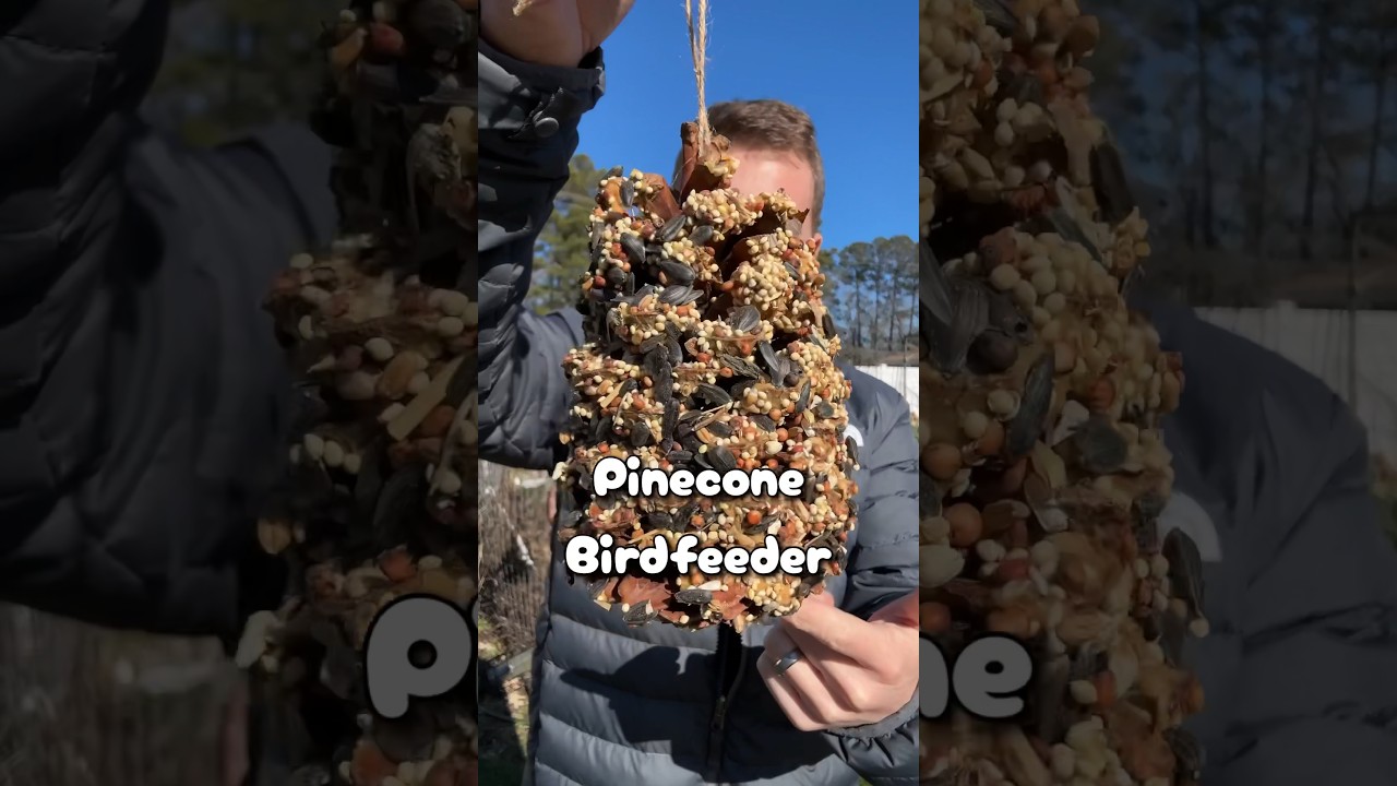 DIY Pinecone Bird Feeder #diy #birdfeeder