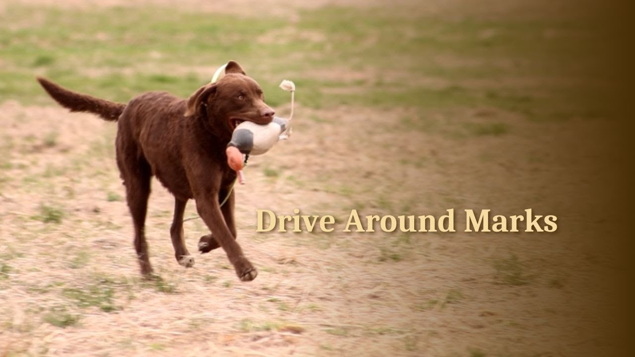Drive Around Marks