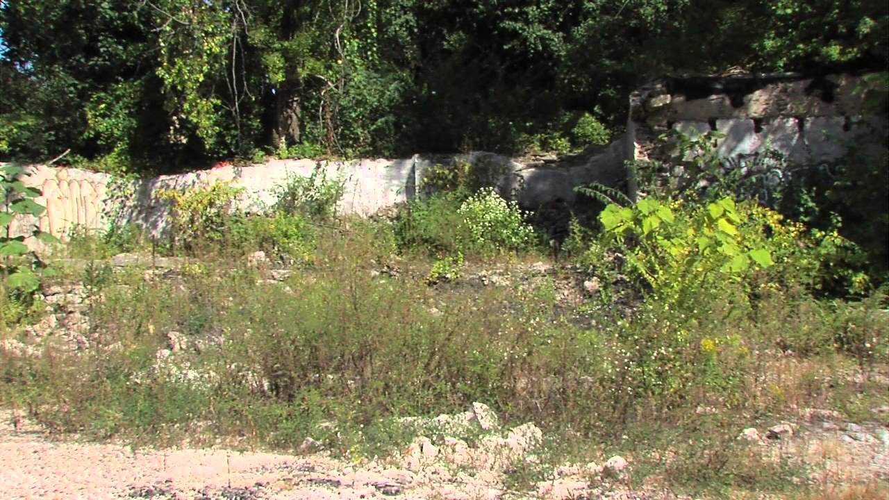 Wissahickon Charter School