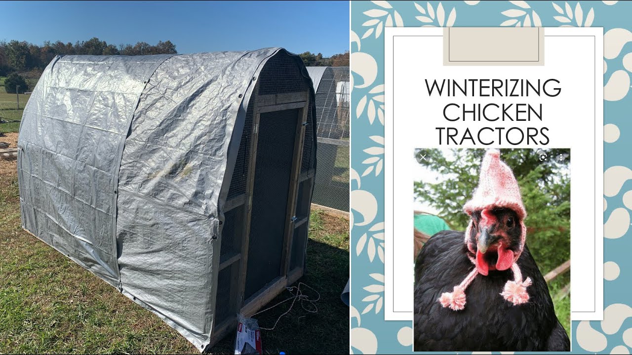 Winterizing Chicken Tractors-Raising Meat Chickens in Winter!!!
