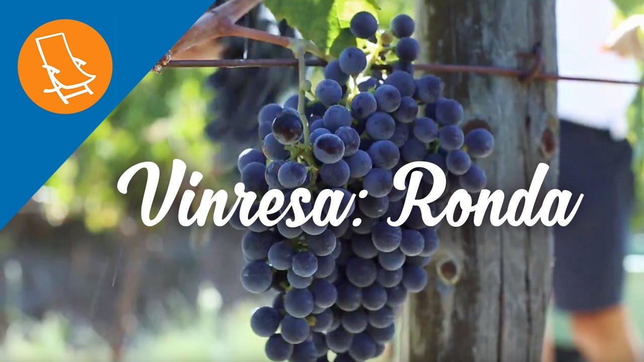 Vinresa : Rondas vingårdar