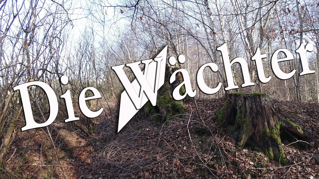 Die Wächter  (1157)