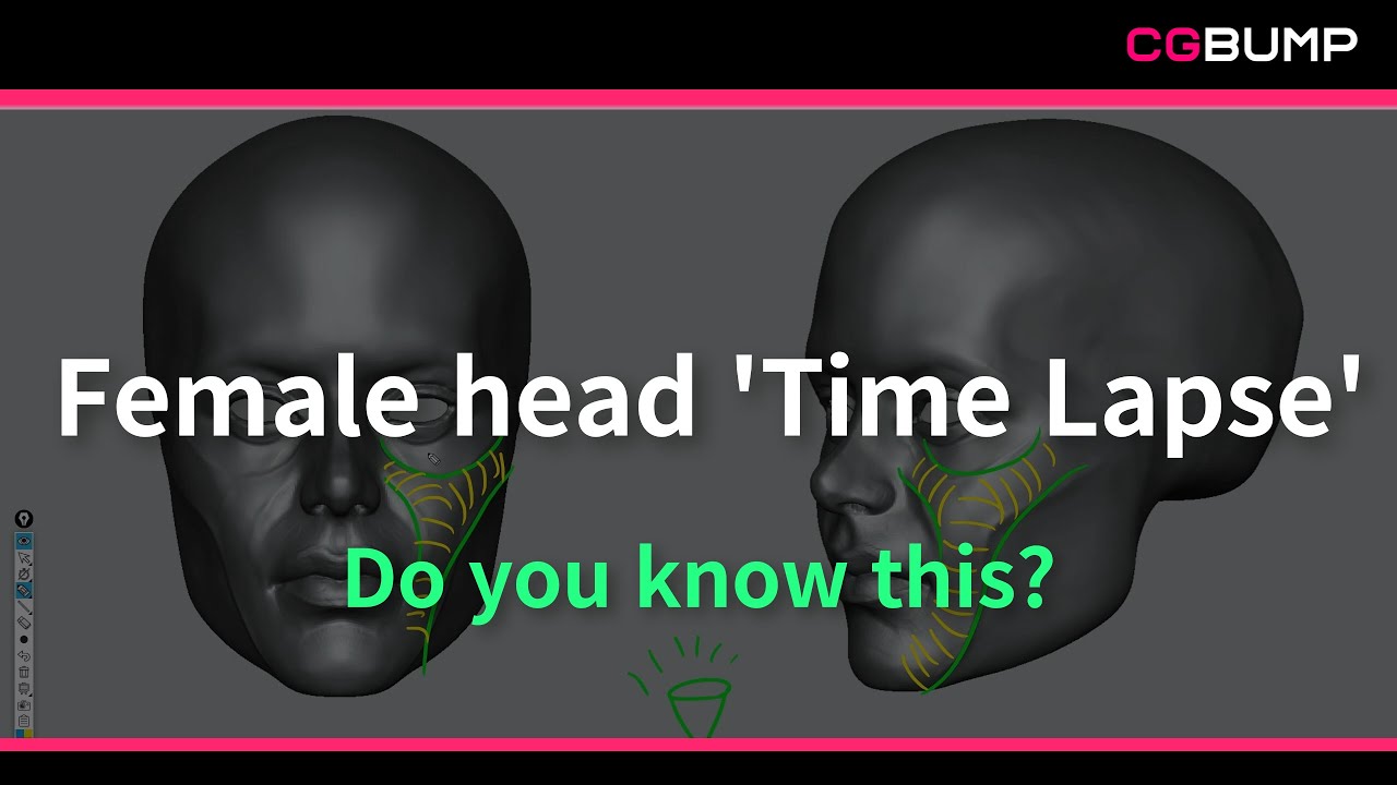 ⏰ Zbrush anatomy female head 'Time Lapse' #zbrush #anatomy #지브러쉬 #해부학 #3dmodeling