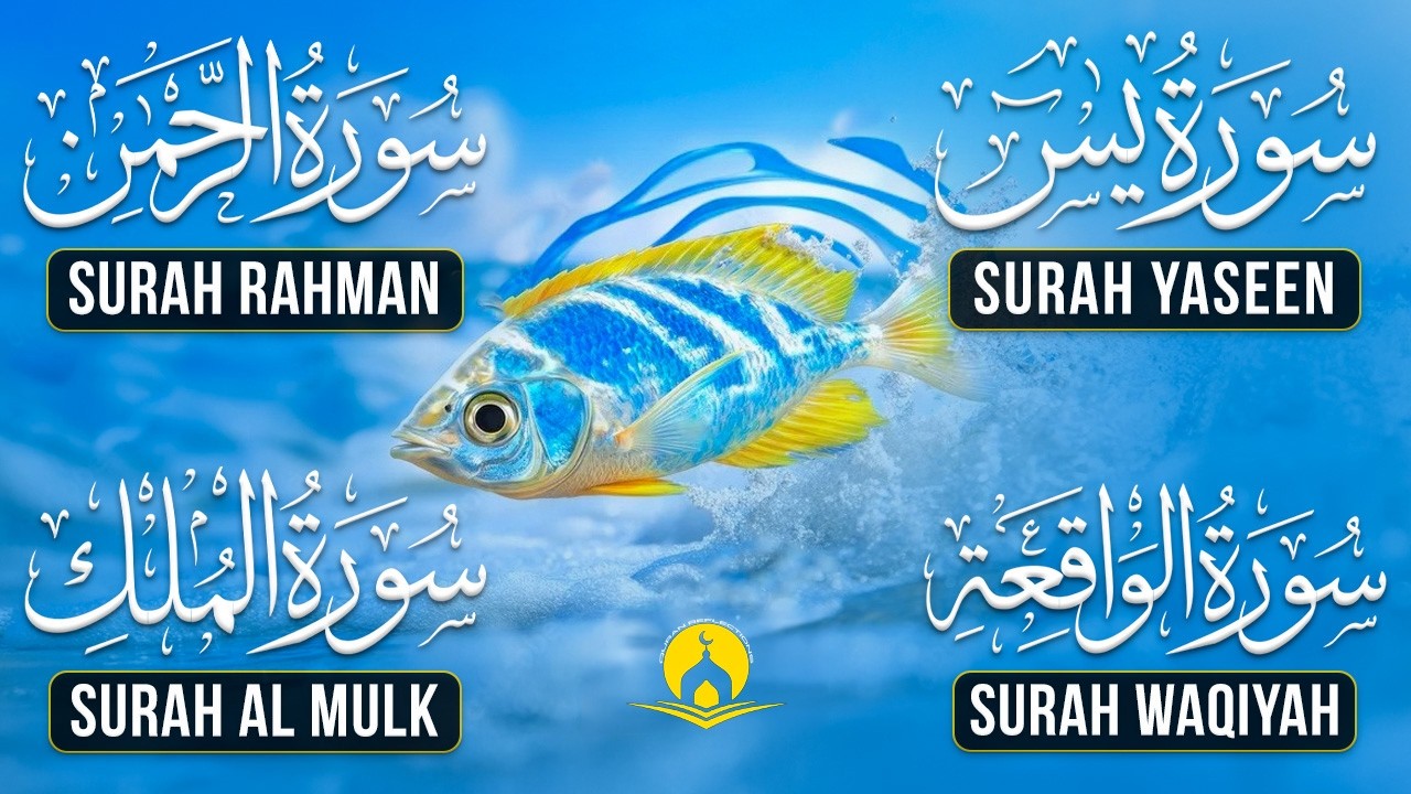 Very Nice Voice Surah Yaseen | Surah Rahman | Surah Waqiah | Surah Mulk l Reciter Ashraf Hussain 124