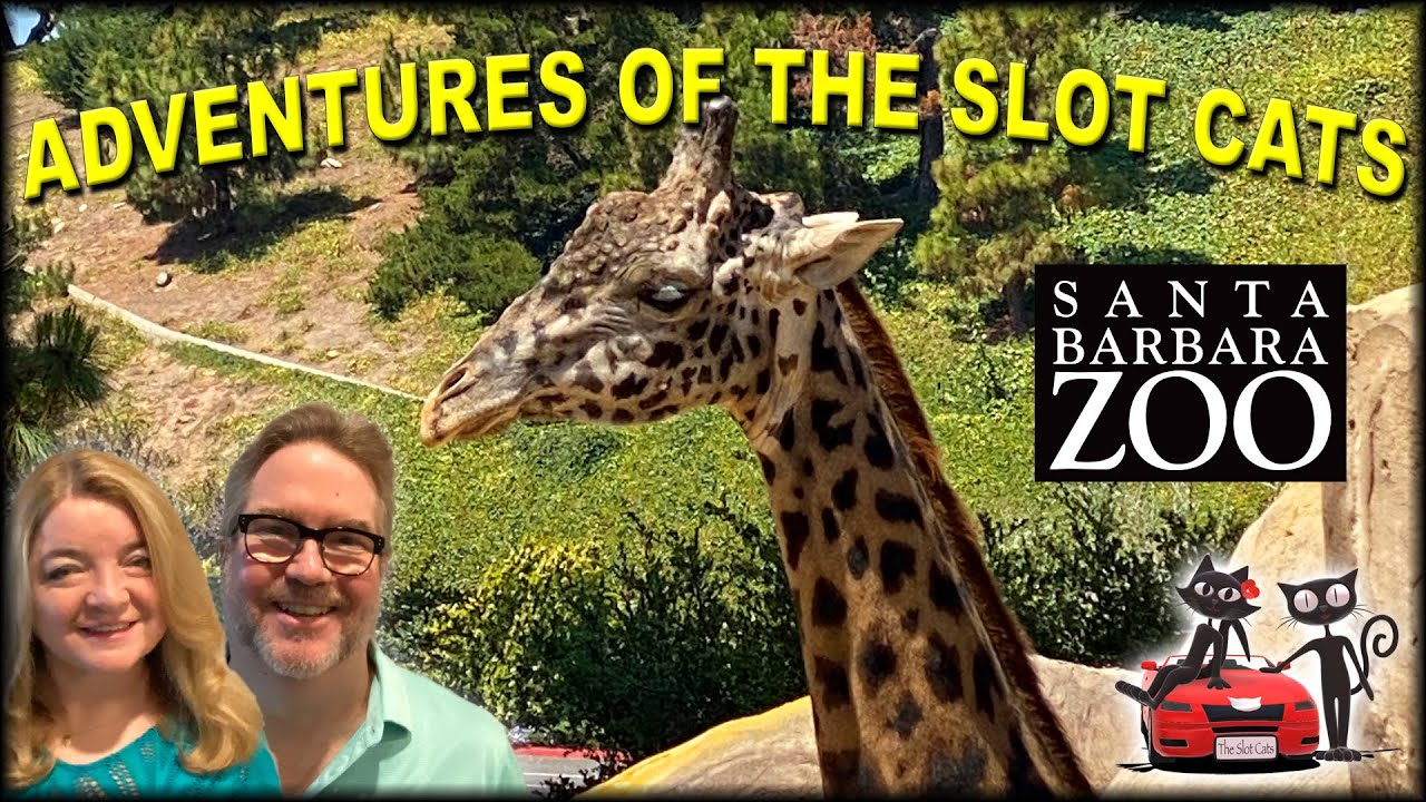 🐯🐒 SANTA BARBARA ZOO 🦁🦍 (CALIFORNIA, USA)