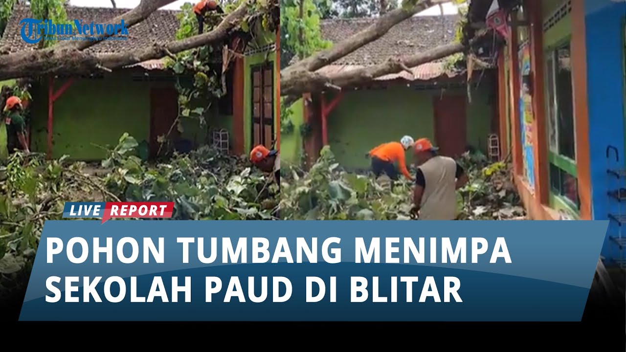 Angin Kencang Mengakibatkan Pohon Ambruk Mengenai Bangunan PAUD di Blitar