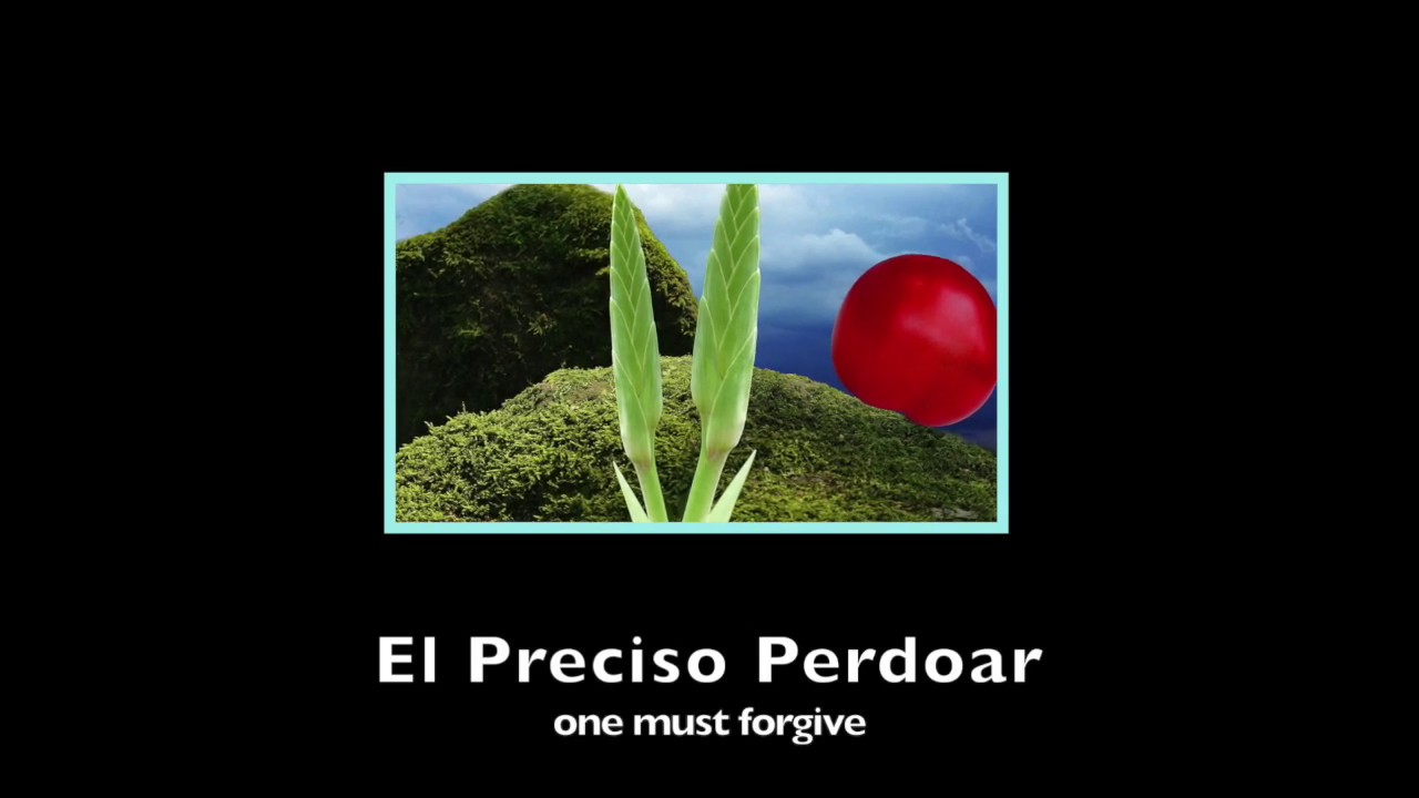 El Preciso Perdoar (One must forgive) Grover Washington Jr. - backing track + music sheet
