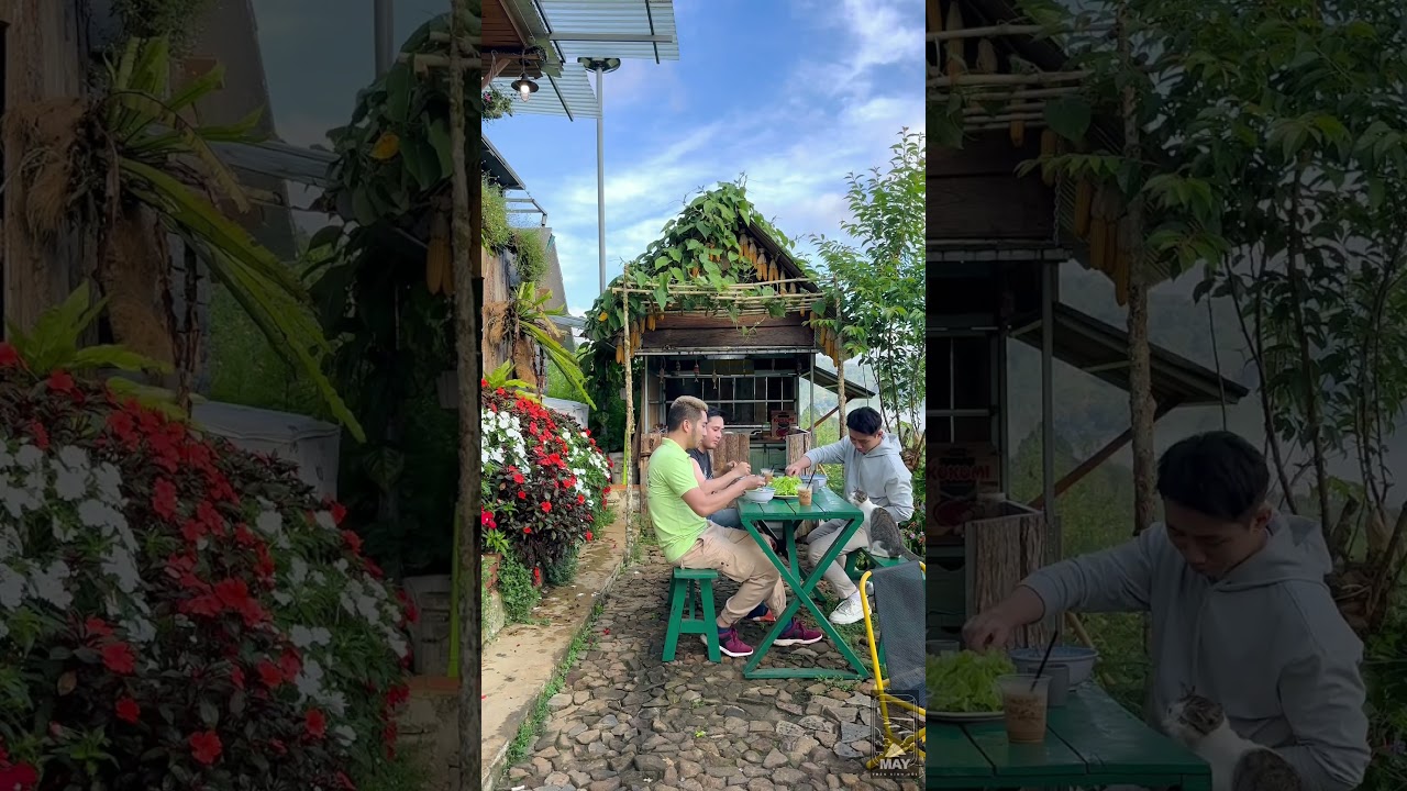 Chữa l&agrave;nh tại M&acirc;y Tr&ecirc;n Đỉnh Đồi #caphedalat #chualanh #sanmaydalat