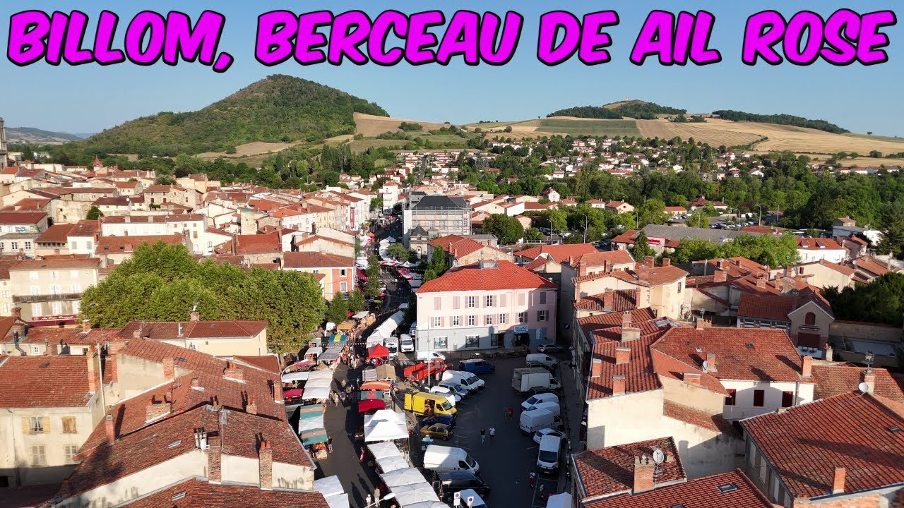 L' AIL ROSE de BILLOM est une production emblématique de l'Auvergne