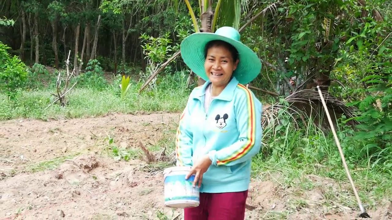 วิธีปลูกถั่วดำ พยากรณ์ฟ้าฝนแม่นๆจากด้วงมะพร้าวแบบโบราณฯ