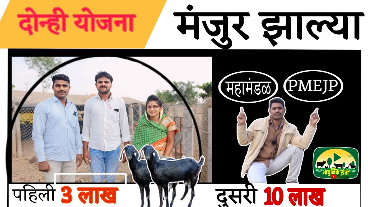 10 लाख आणि 3 लाखाच्या दोन्ही योजना मंजूर झाल्या | सविस्तर माहिती | #NLM #loan #goat