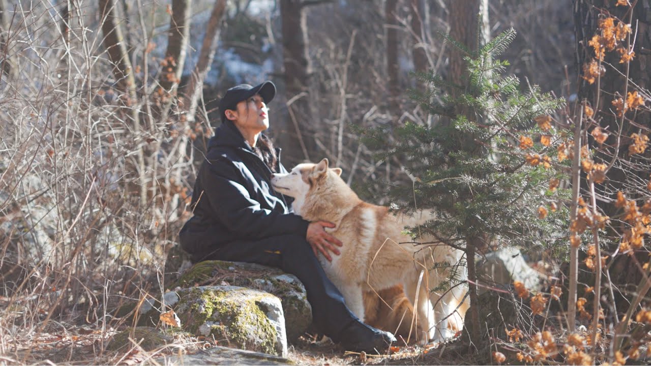 Life in the Mountains with My Dogs and Cats – The Joy of Simple Living