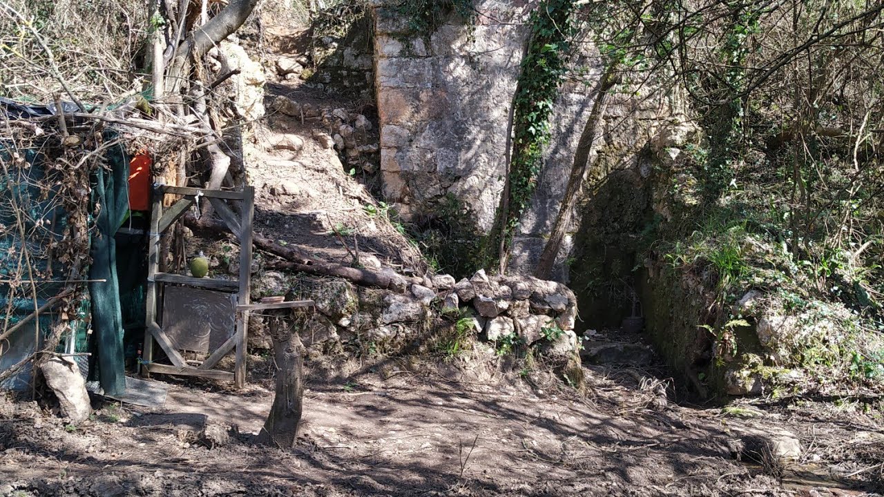 naranco inédito 4/molinos