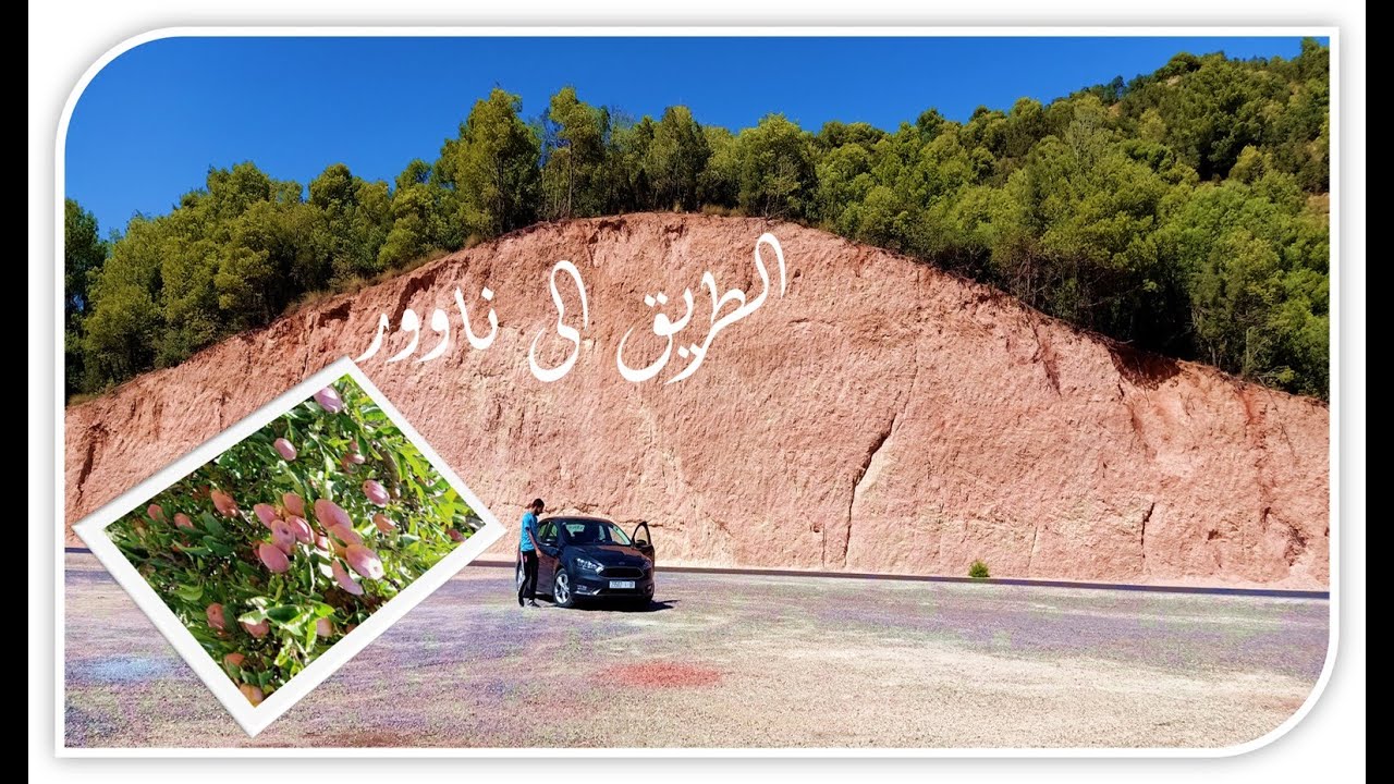 Naour Beni Mellal 2020  موسم جني التفاح بناوور بني ملال