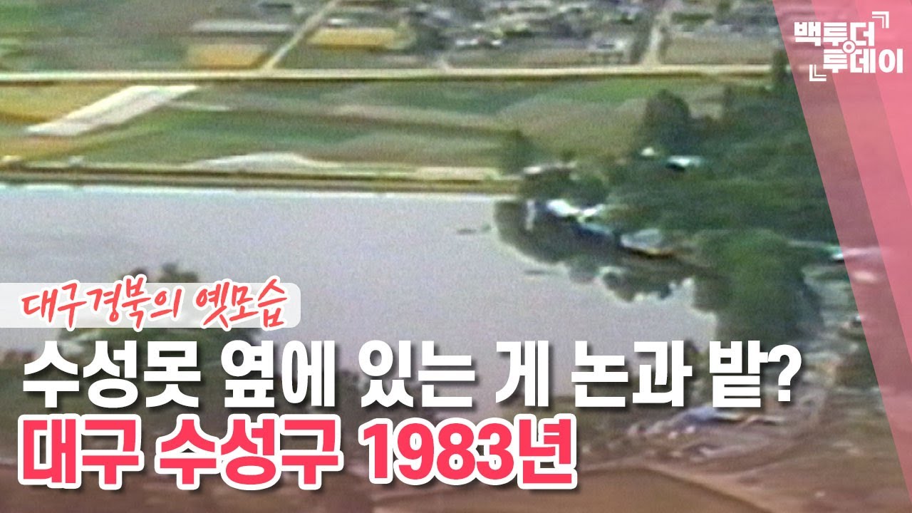 원스어펀어타임 인 대구-수성구 | 백투더투데이