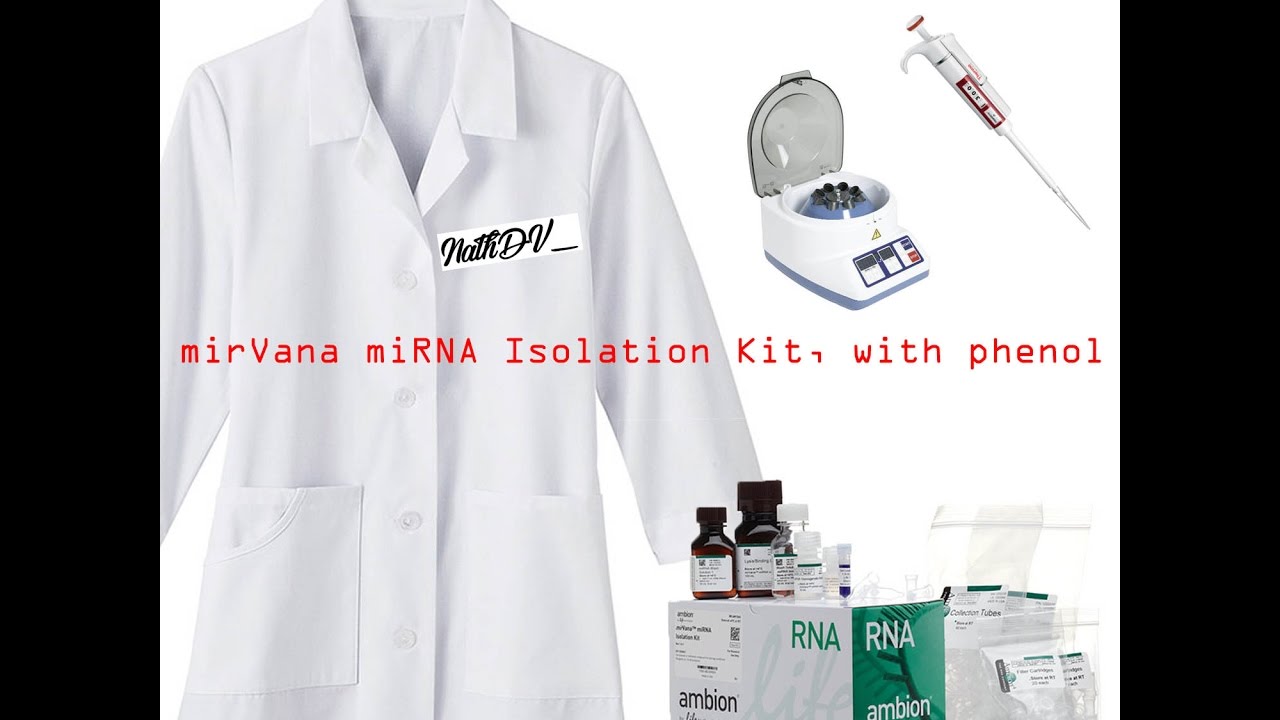 mirVana miRNA Isolation Kit, with phenol. PhDstudentLIFE ep1