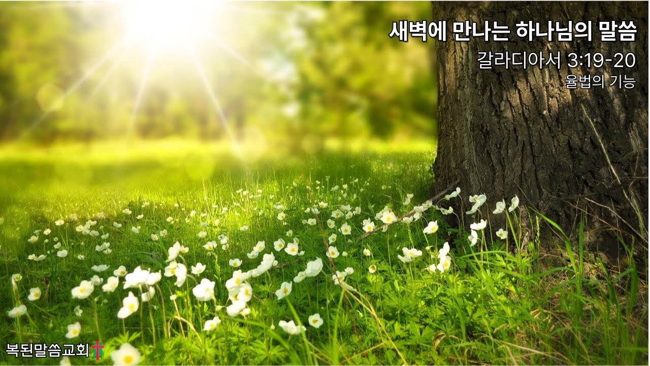 율법의 기능 / 갈라디아서 3:19-20