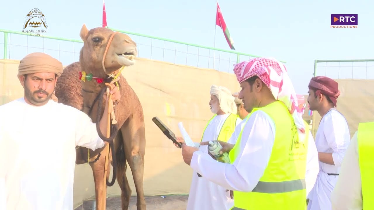 الحلقة كاملة ختام مهرجان العرضة والزمط بولاية بدية 2/12/2023