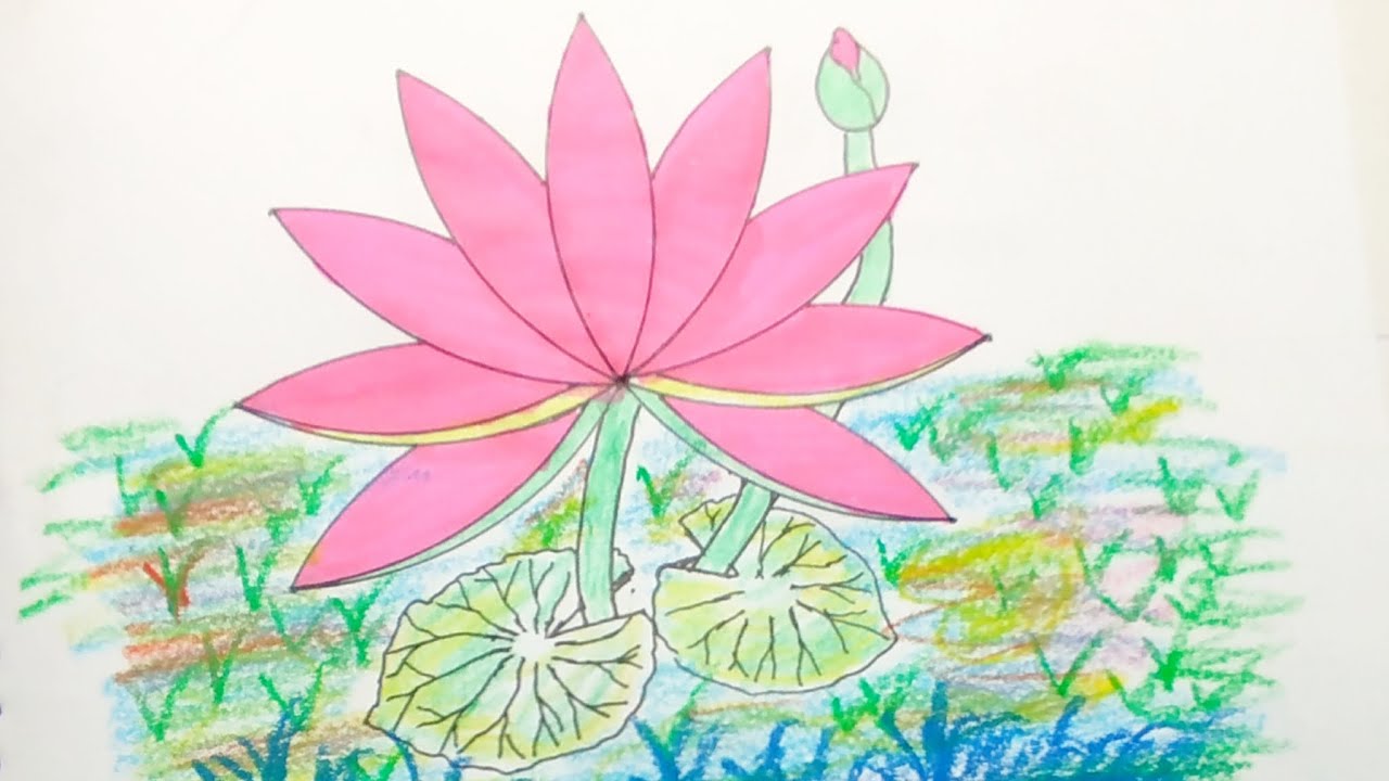 Water lily drawing| শাপলা ফুল সহজে আঁকা| how to draw water lily easy way