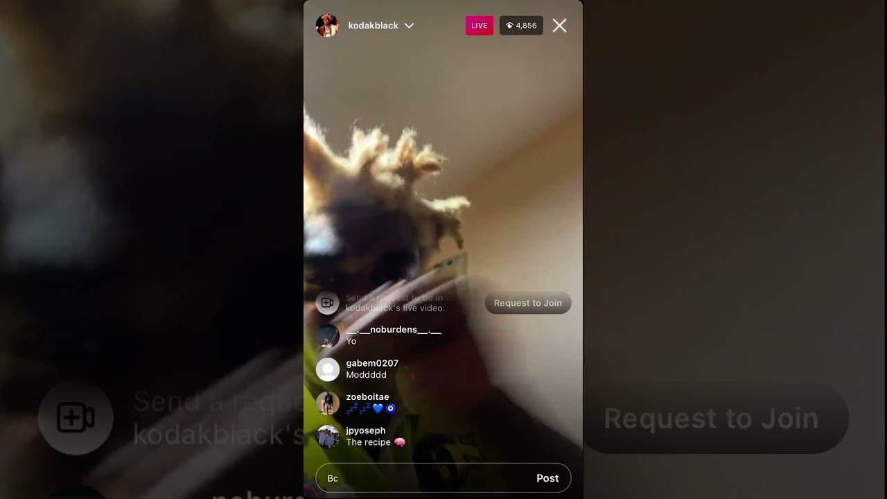 Kodak Black Snippet JUNE/22/21