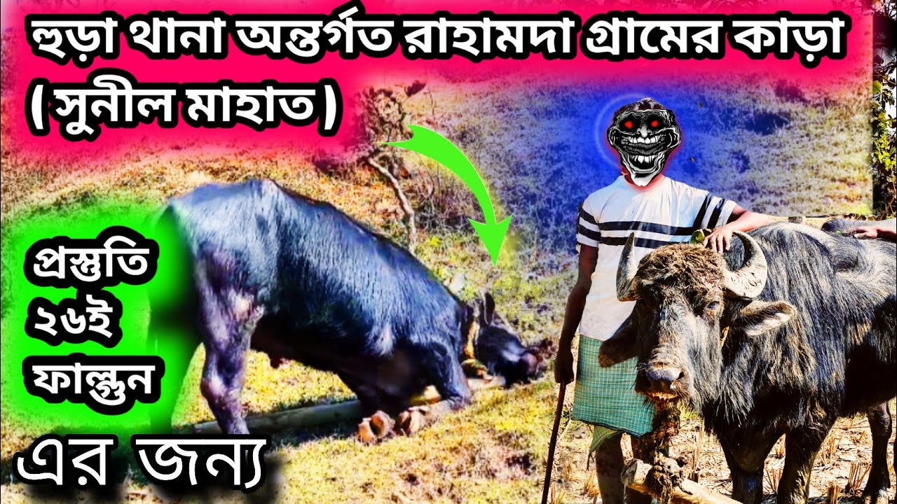 হুড়া_থানা_অন্তর্গত_রাহামদা_গ্ৰামের_কাড়া_( সুনীল মাহাত ) 2026 সালে 26ই ফাল্গুন মাসের জন্য প্রস্তুতী