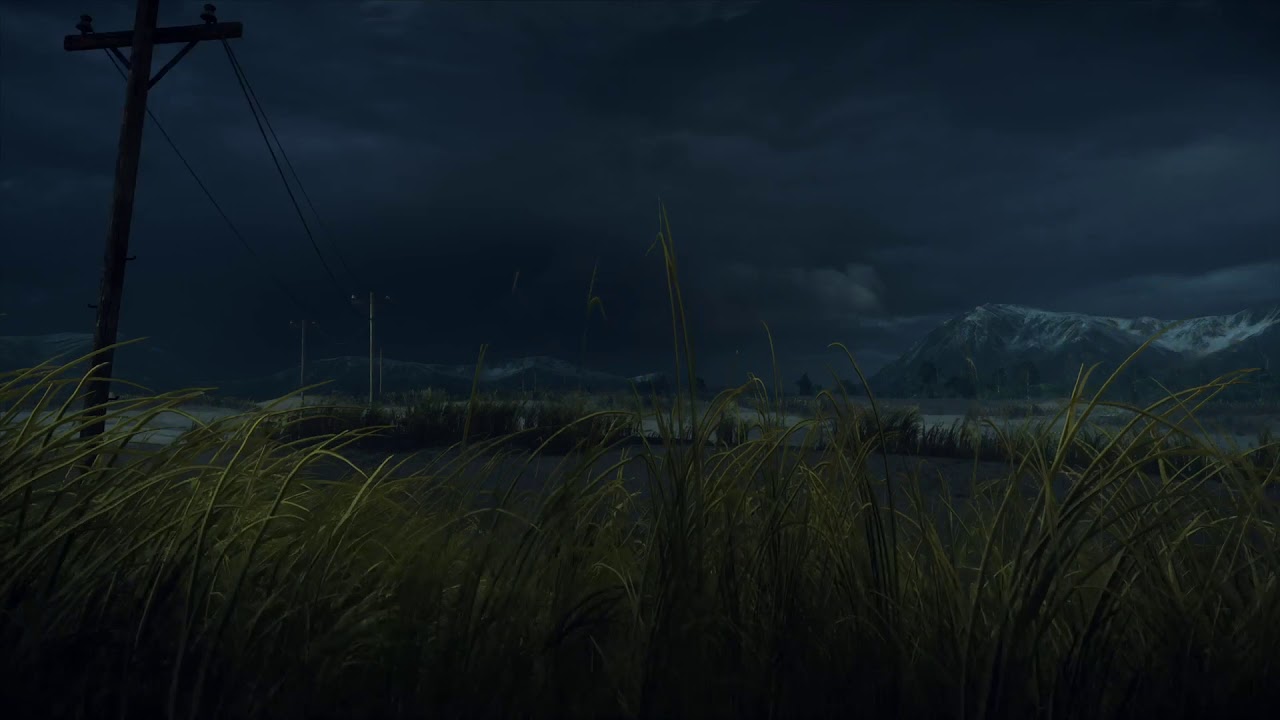 (Hitman) Windy Tall Grass With Distant Thunder