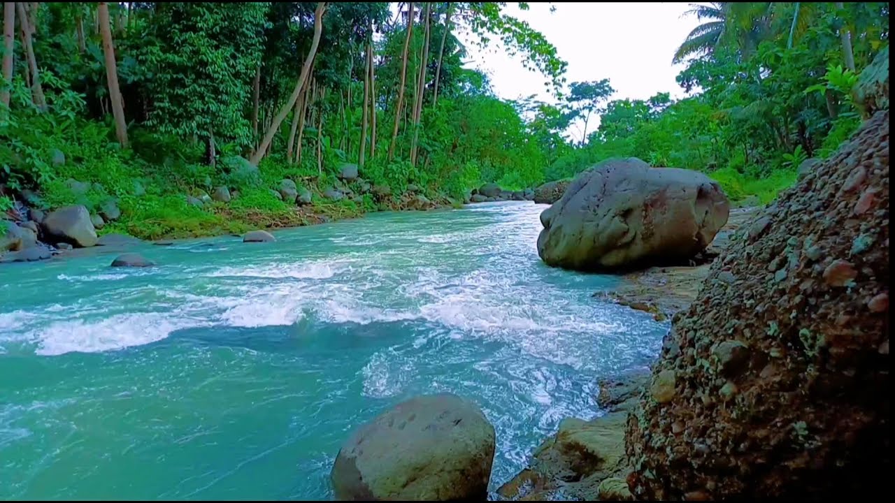 Peaceful River Sounds for Deep Relaxation  Calming Water Ambience.