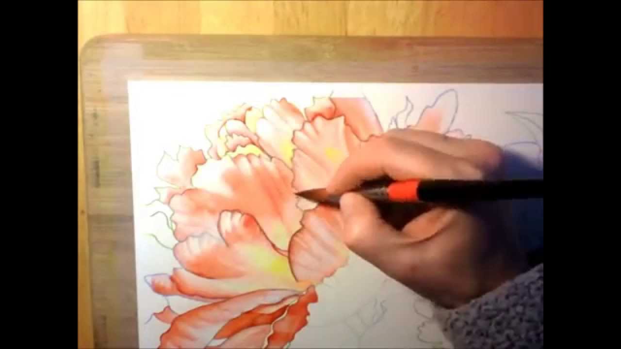 Pink Peonies - Watercolor Painting Time Lapse Process