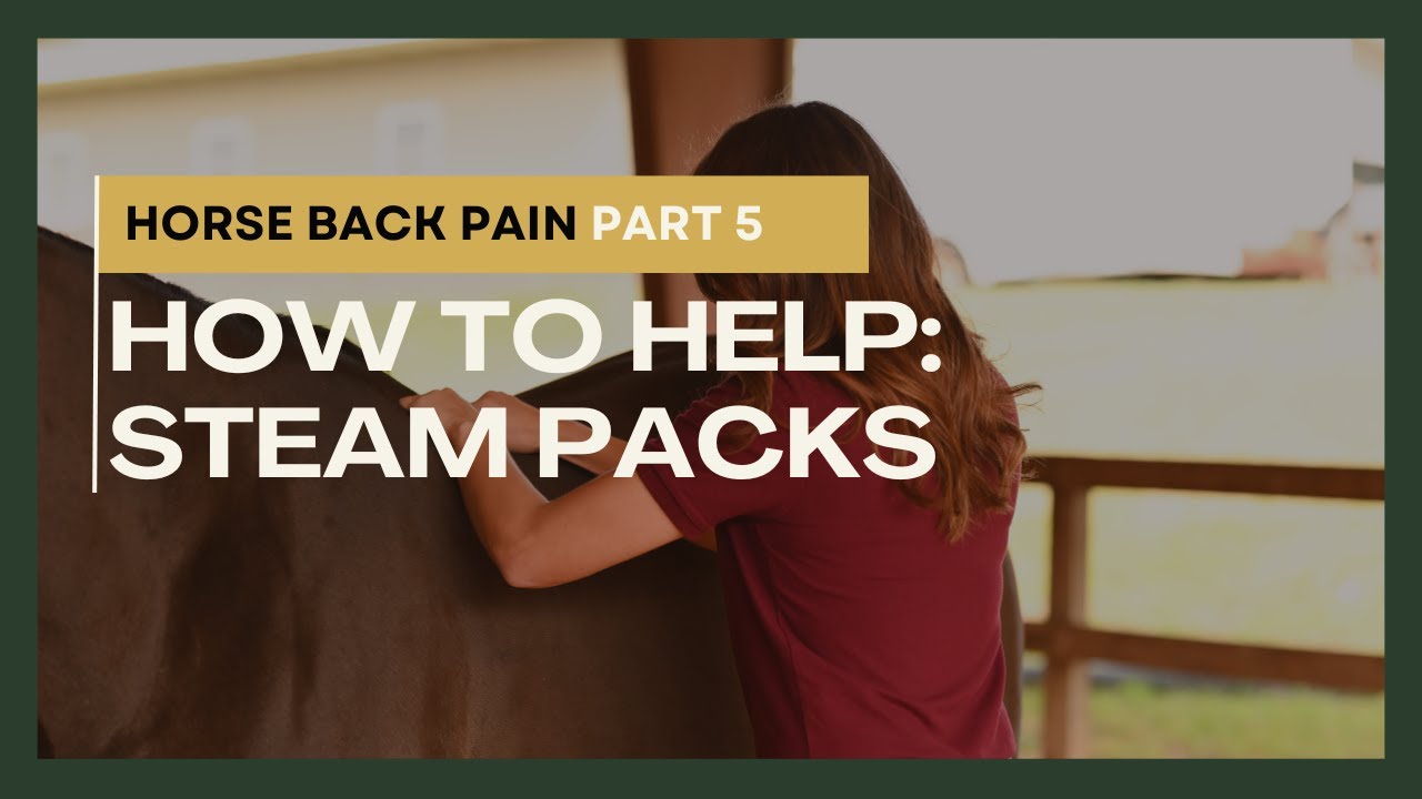 Horse Back Pain Part 5: How to Help: Steam Packs