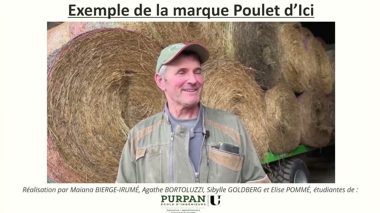 Poulet d'ici : une démarche collective et coopérative pour répondre aux besoins des consommateurs