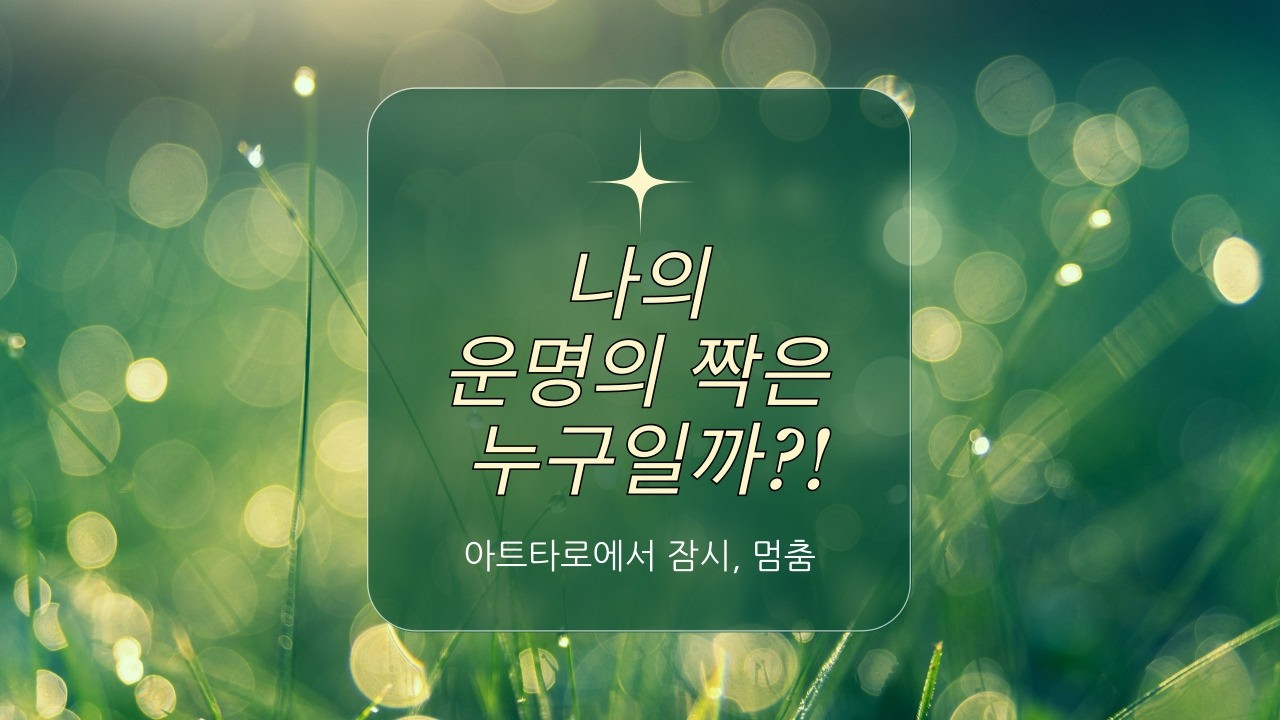 [타로연애운] 나의 운명의 짝♡♡♡  #타로연애운#타로 #타로속마음 #tarot