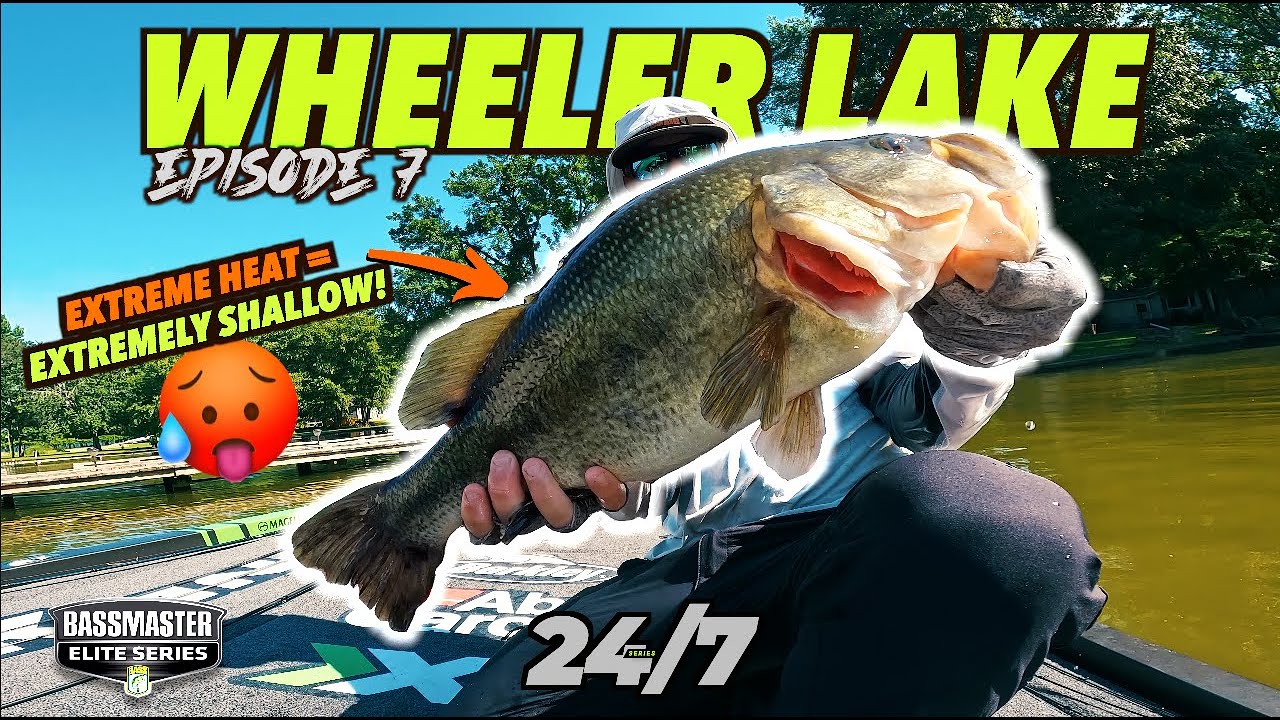 Wheeler Lake BASS ELITE | 24/7series | Ep. 7