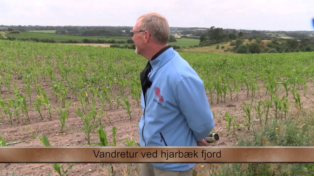 Vandretur ved Hjarbæk (del 2)