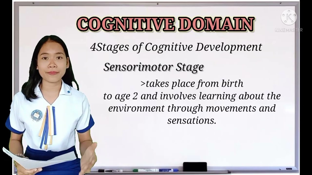 Domains of Development