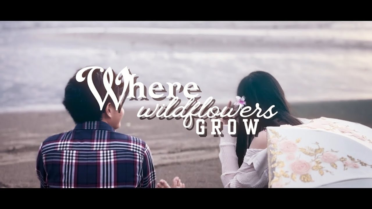 Where Wildflowers Grow (short film)
