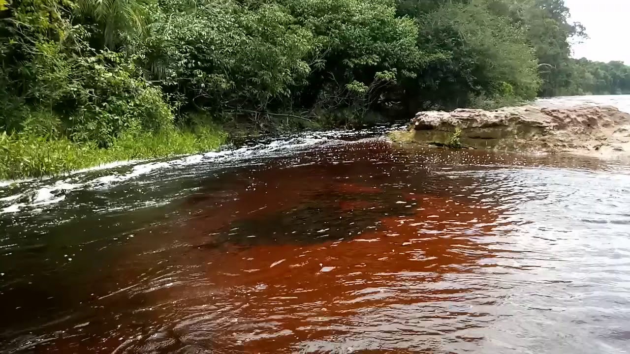 Parque Nacional do Jau
