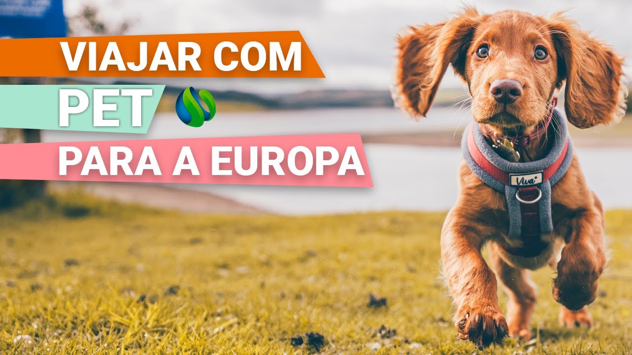 Viajar com animal de estimação para a Europa