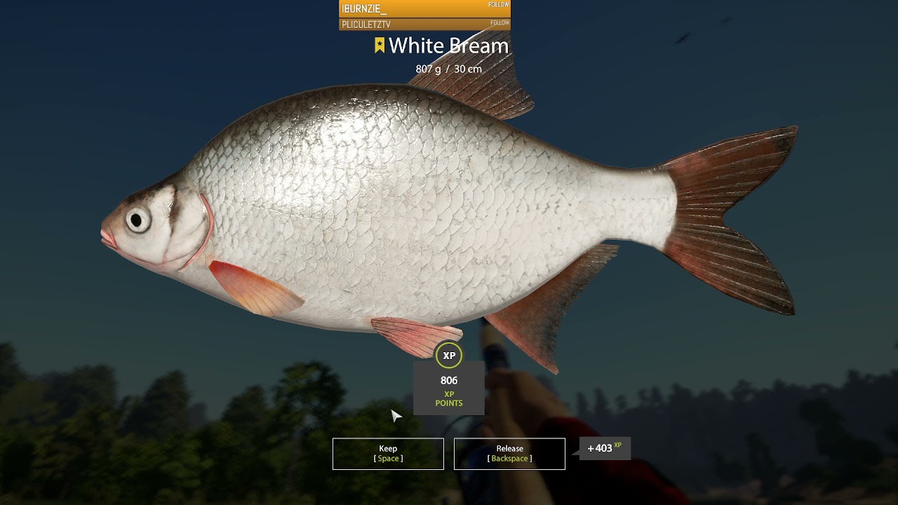 Russian Fishing 4 - Trophy White Bream at Winding Rivulet