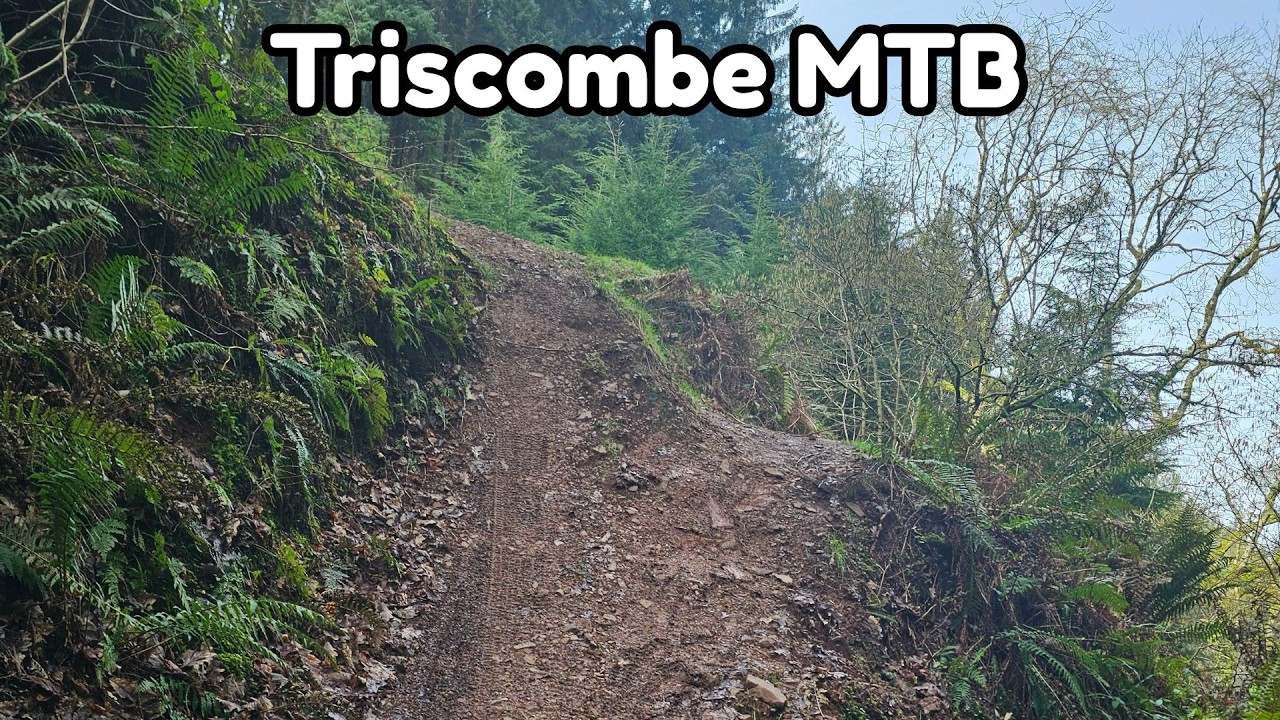 Triscombe MTB: World Hold On - Bob Sincalr