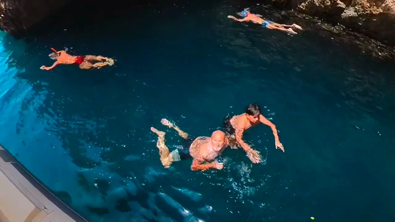 The 