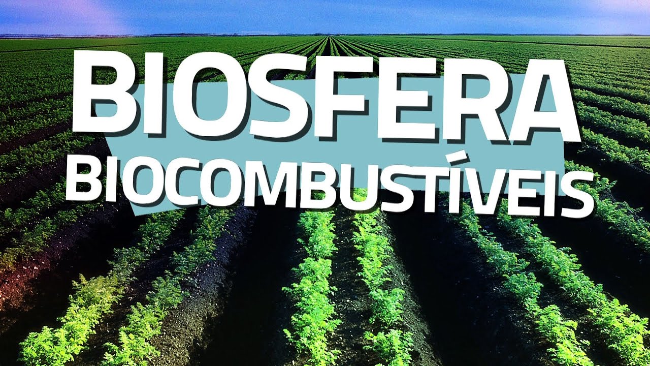 Programa Biosfera - Episódio: BIOCOMBUSTÍVEIS