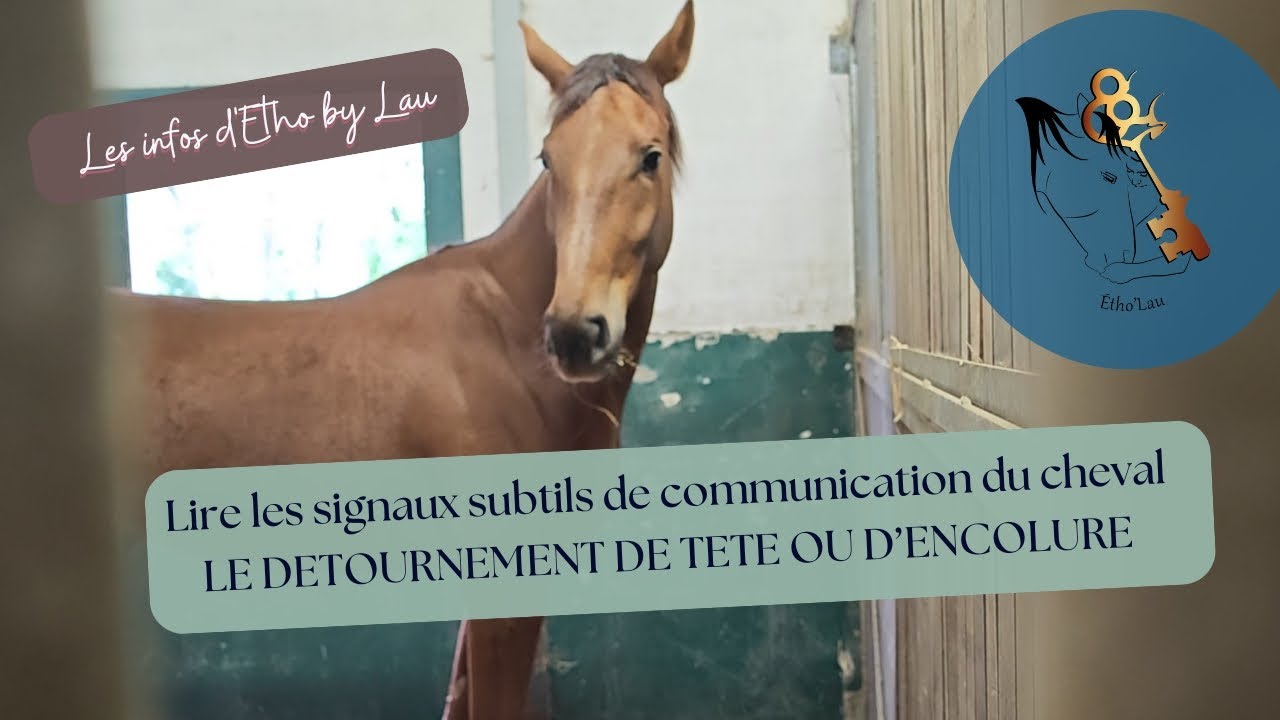 Le détournement de tête ou d'encolure complet