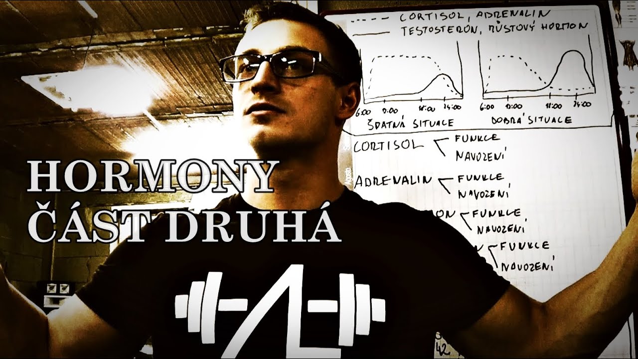 Hormony - Insulín, Testosteron, Růstový h., Cortisol, Adrenalin | č.2 | Aleš Lamka