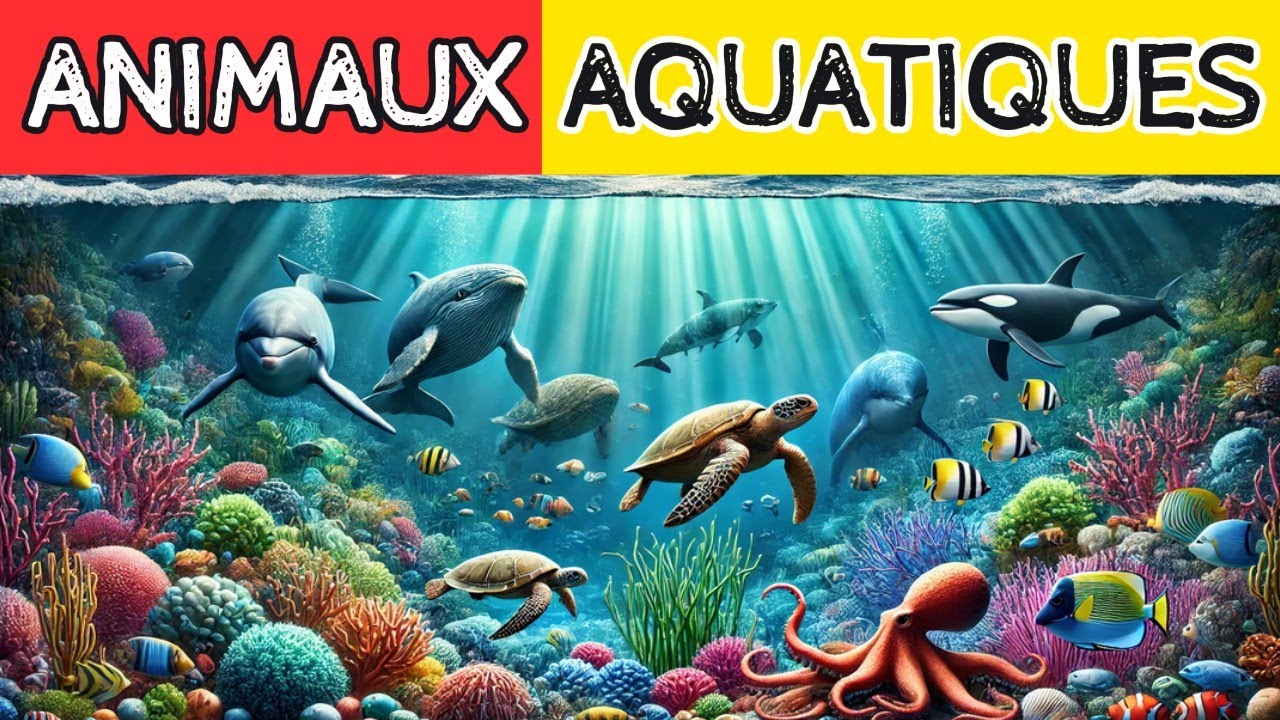 Animaux Marins pour Enfants : Explorez Sous l'Eau 🌊🐟