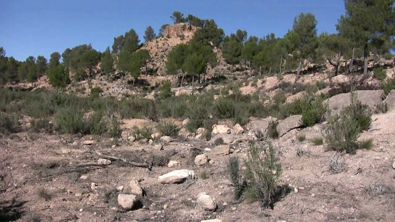 EL TOCHAR - 101 GUARROS
