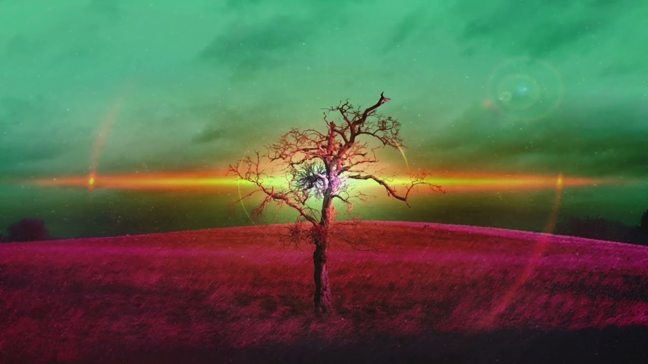 Roots Without