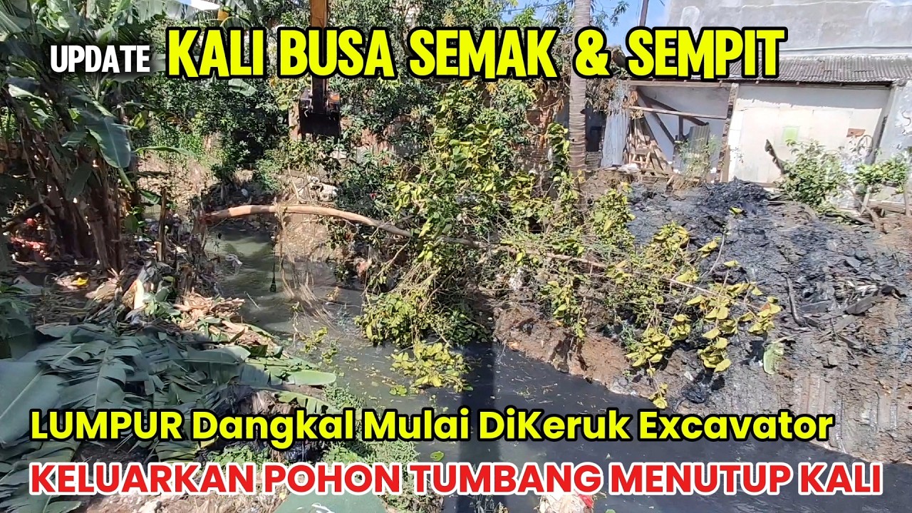 Update BECO BABEH‼️LUMPUR Dangkal Mulai DiKeruk || Excavator Babat Habis POHON Tumbuh Tengah Kali