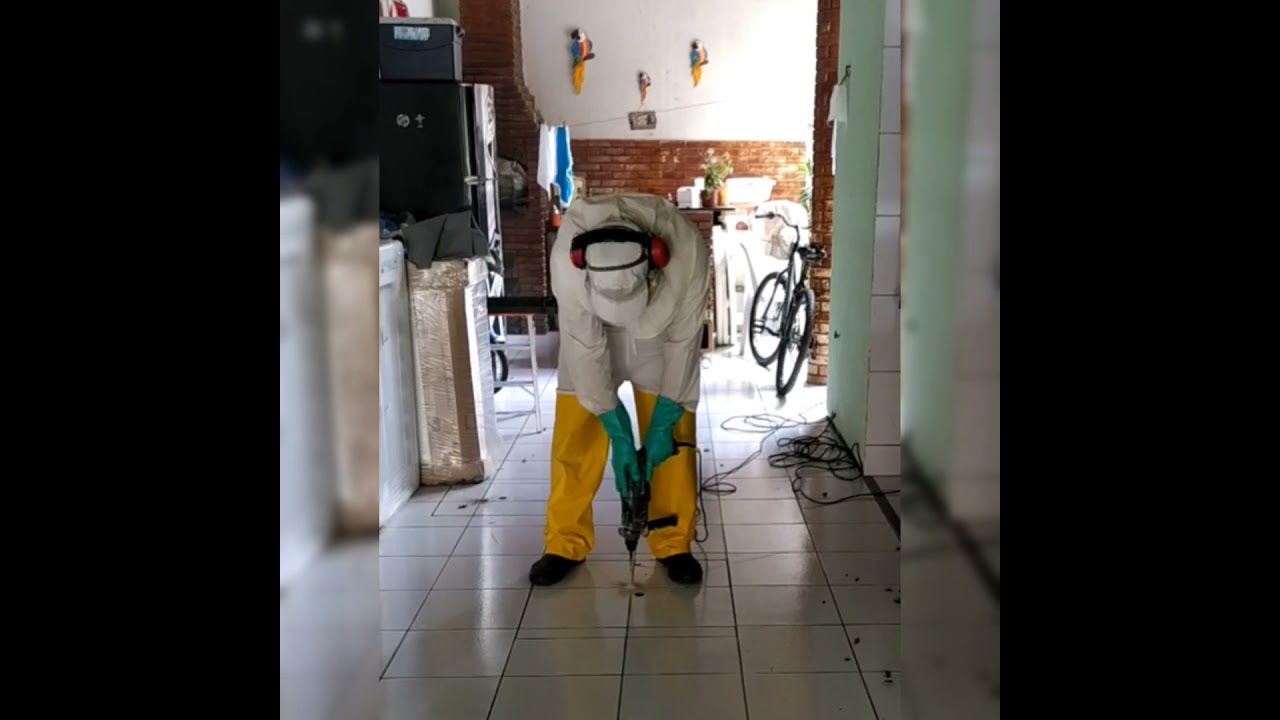 Dedetização contra Baratas em residências
