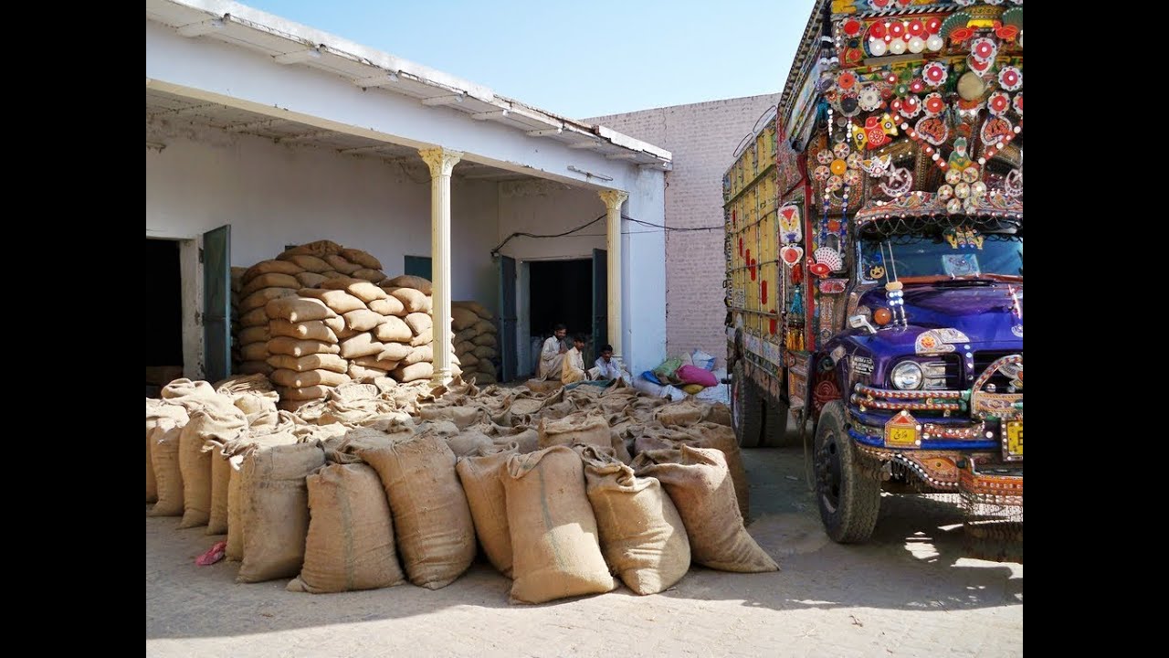 Major Imports and Exports of Pakistan