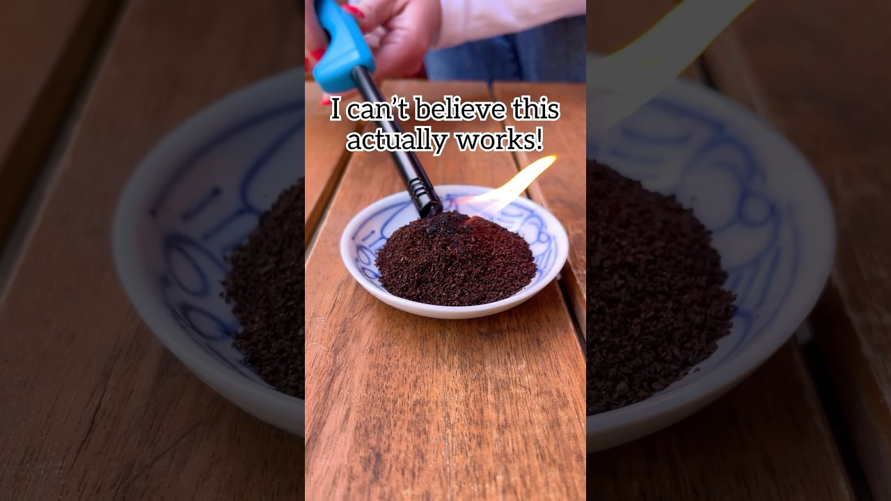 smoke and smell of burning dry coffee grounds repels mosquitos #hacks #tips #diy #home #bug